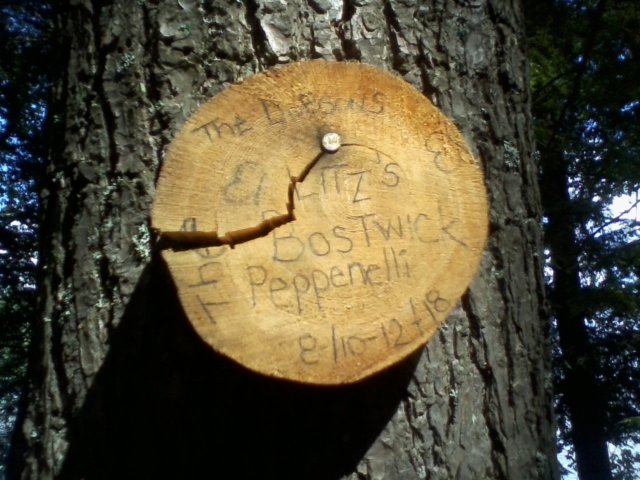 sign_on_tree