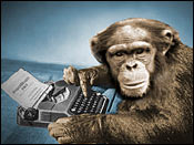 monkey-typist.jpg
